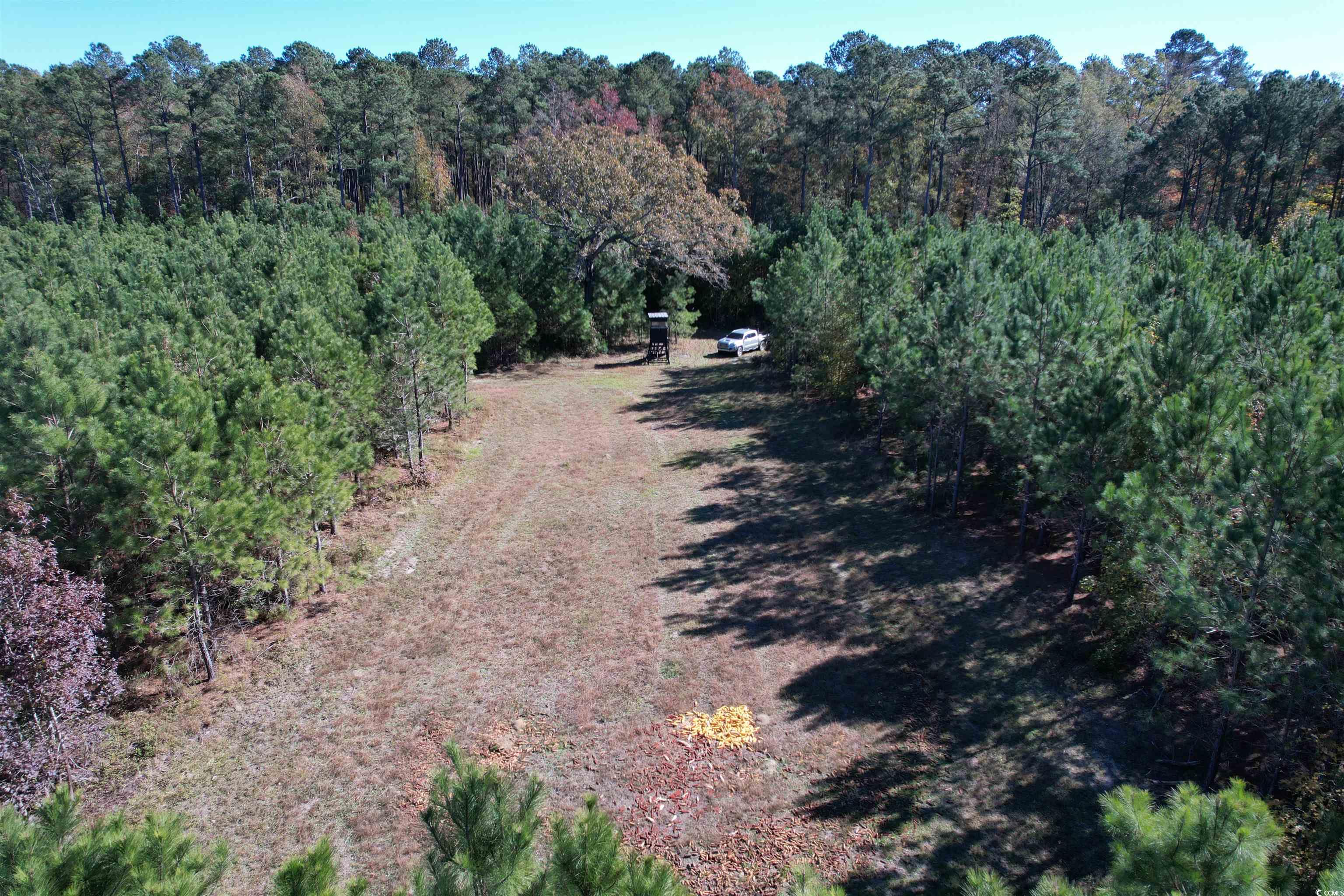 57.40-acres-tbd Cade Road Lake City, SC 29560 - Photo 14 of 22