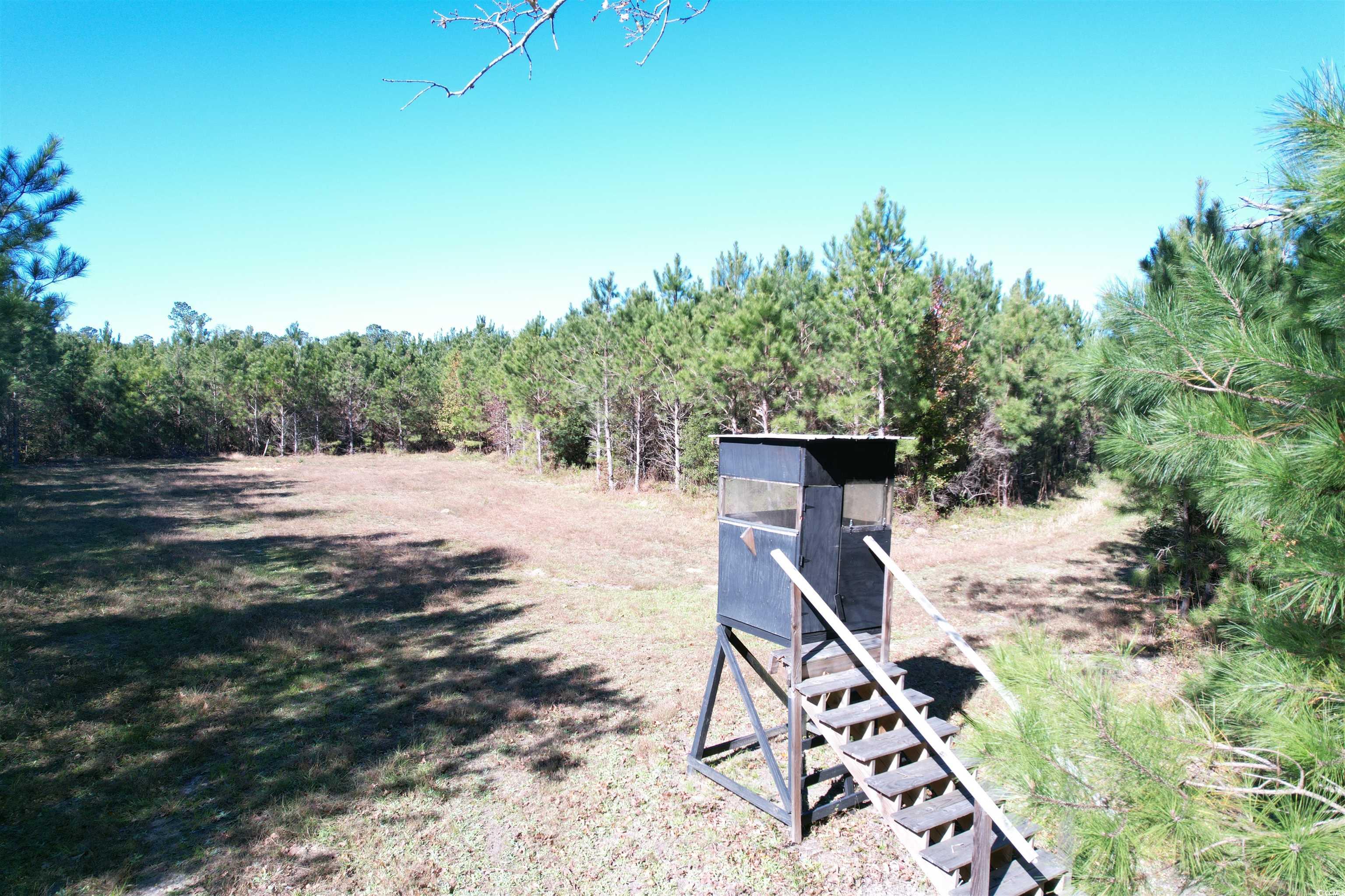 57.40-acres-tbd Cade Road Lake City, SC 29560 - Photo 15 of 22