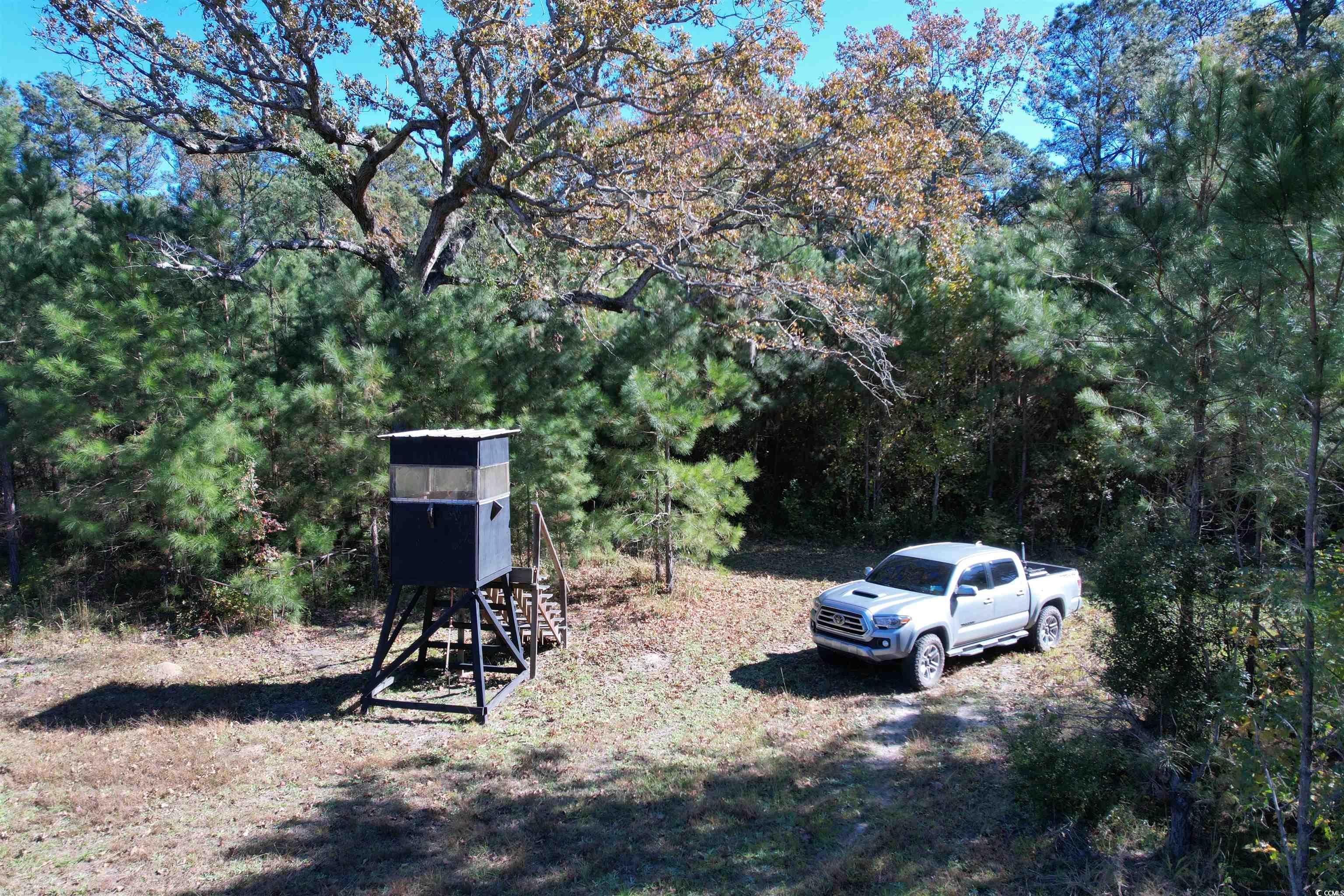 57.40-acres-tbd Cade Road Lake City, SC 29560 - Photo 16 of 22