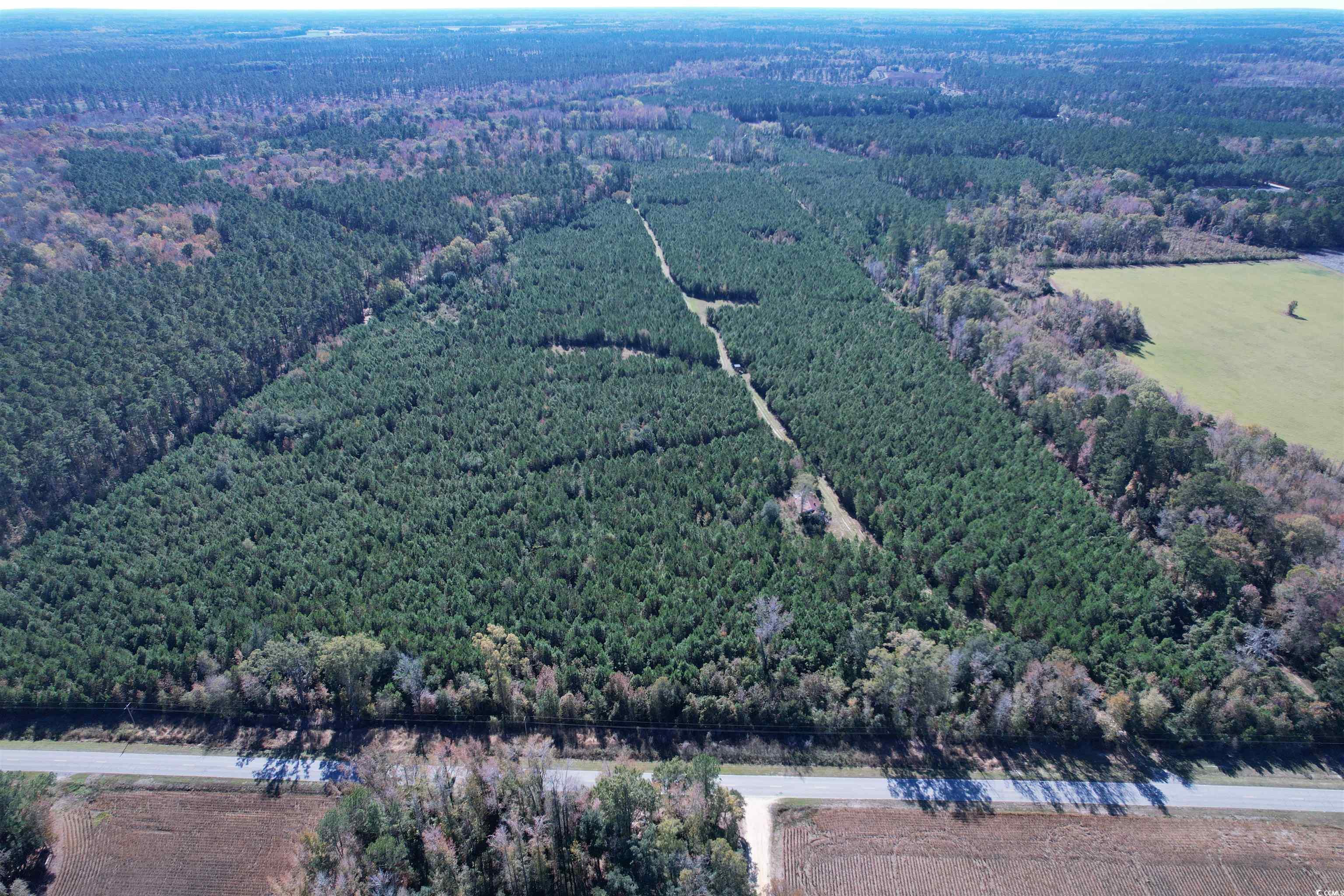 57.40-acres-tbd Cade Road Lake City, SC 29560 - Photo 17 of 22