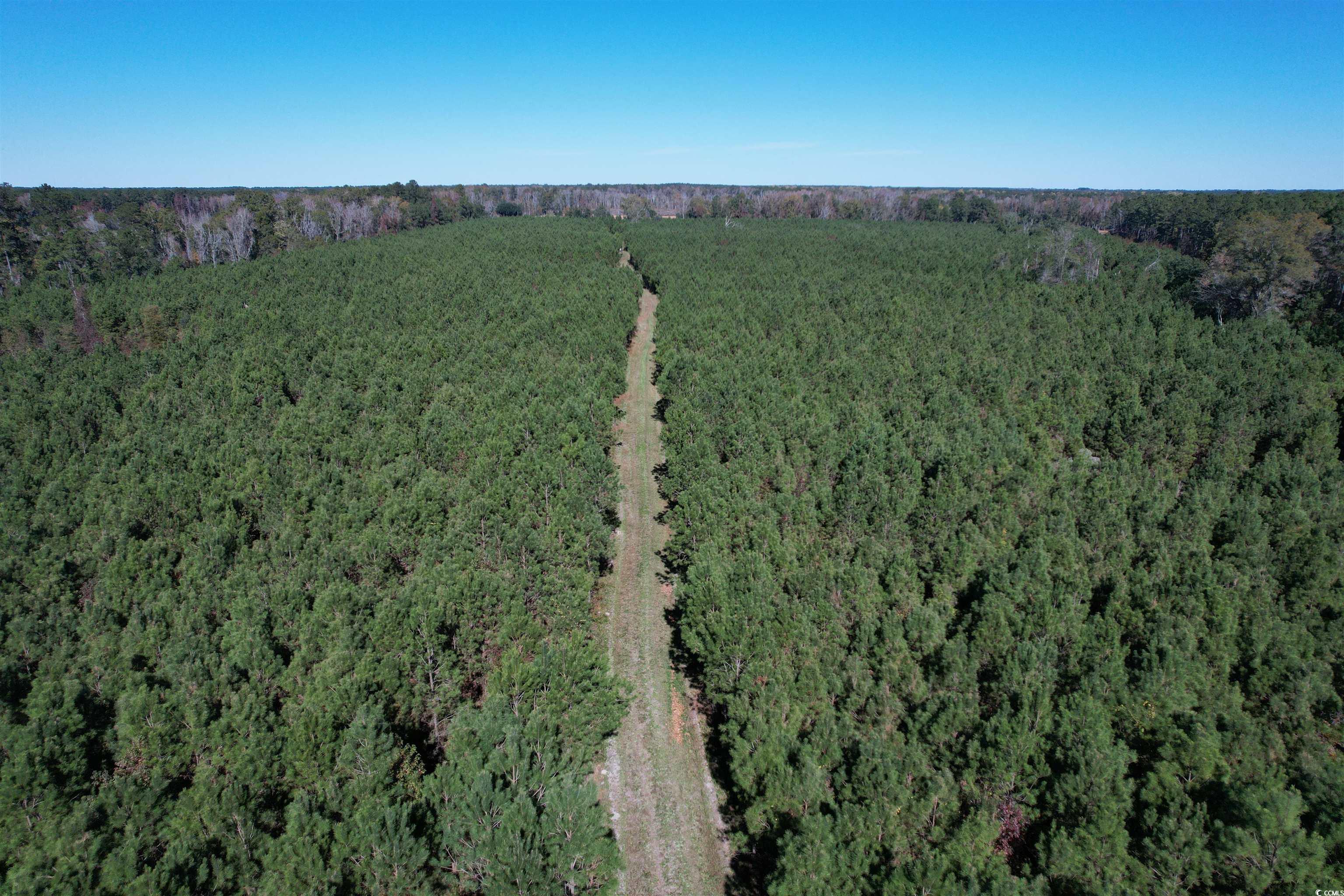 57.40-acres-tbd Cade Road Lake City, SC 29560 - Photo 18 of 22