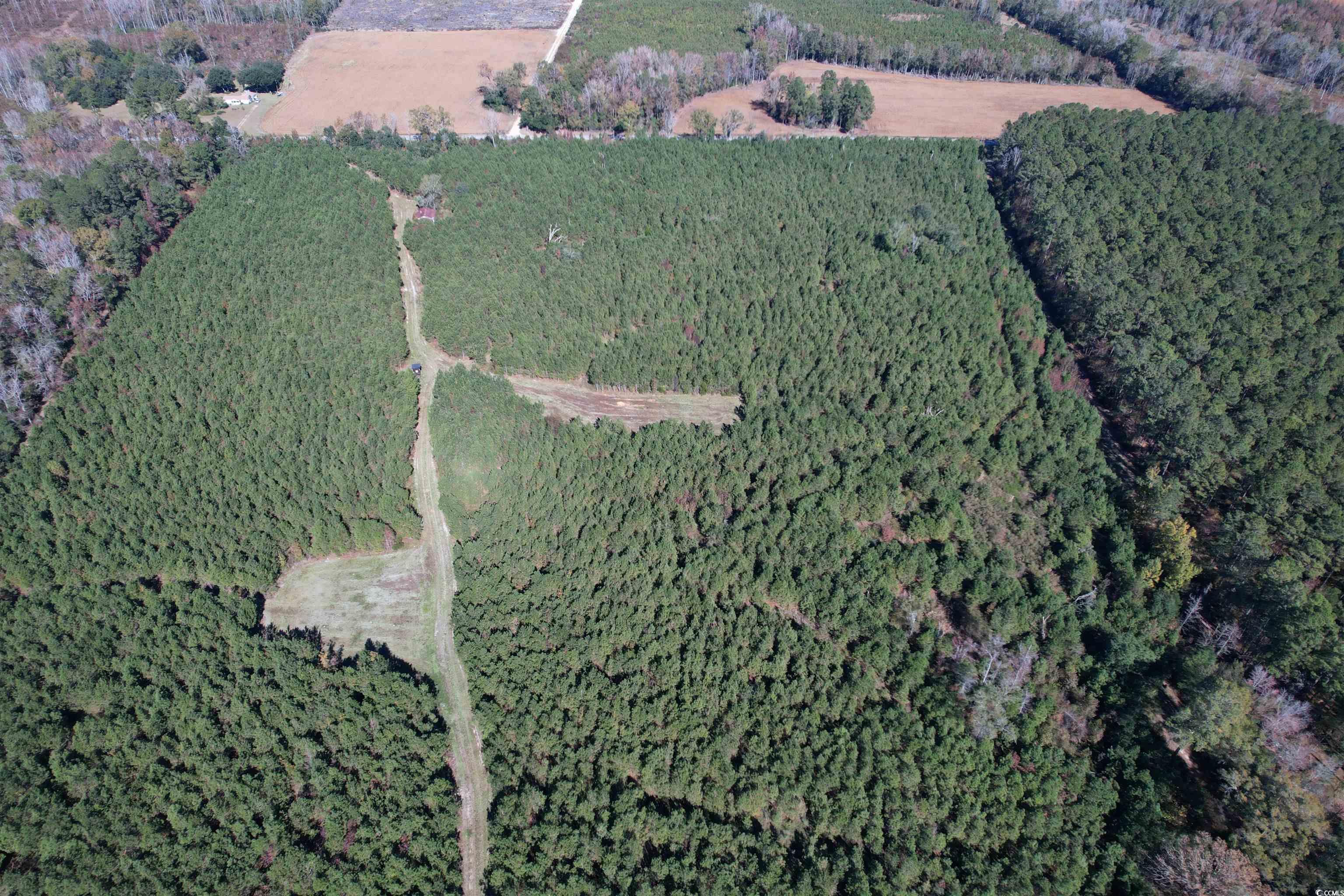 57.40-acres-tbd Cade Road Lake City, SC 29560 - Photo 19 of 22