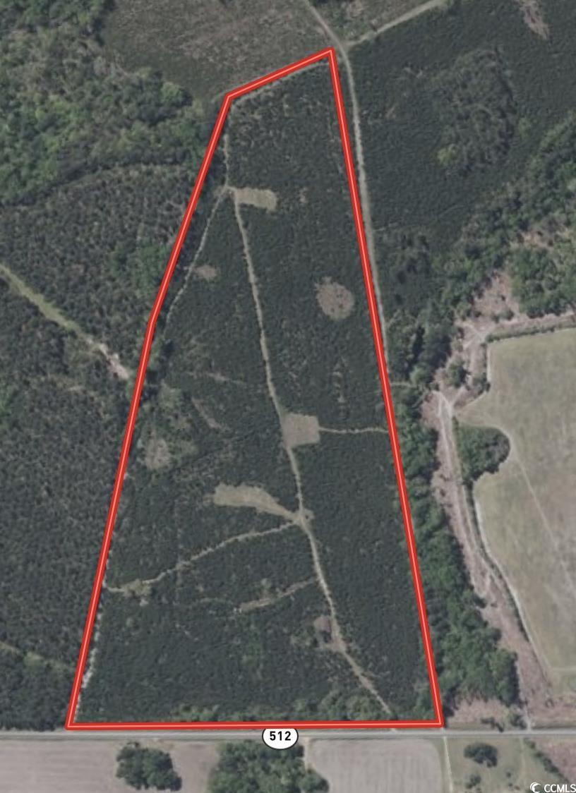 57.40-acres-tbd Cade Road Lake City, SC 29560 - Photo 20 of 22