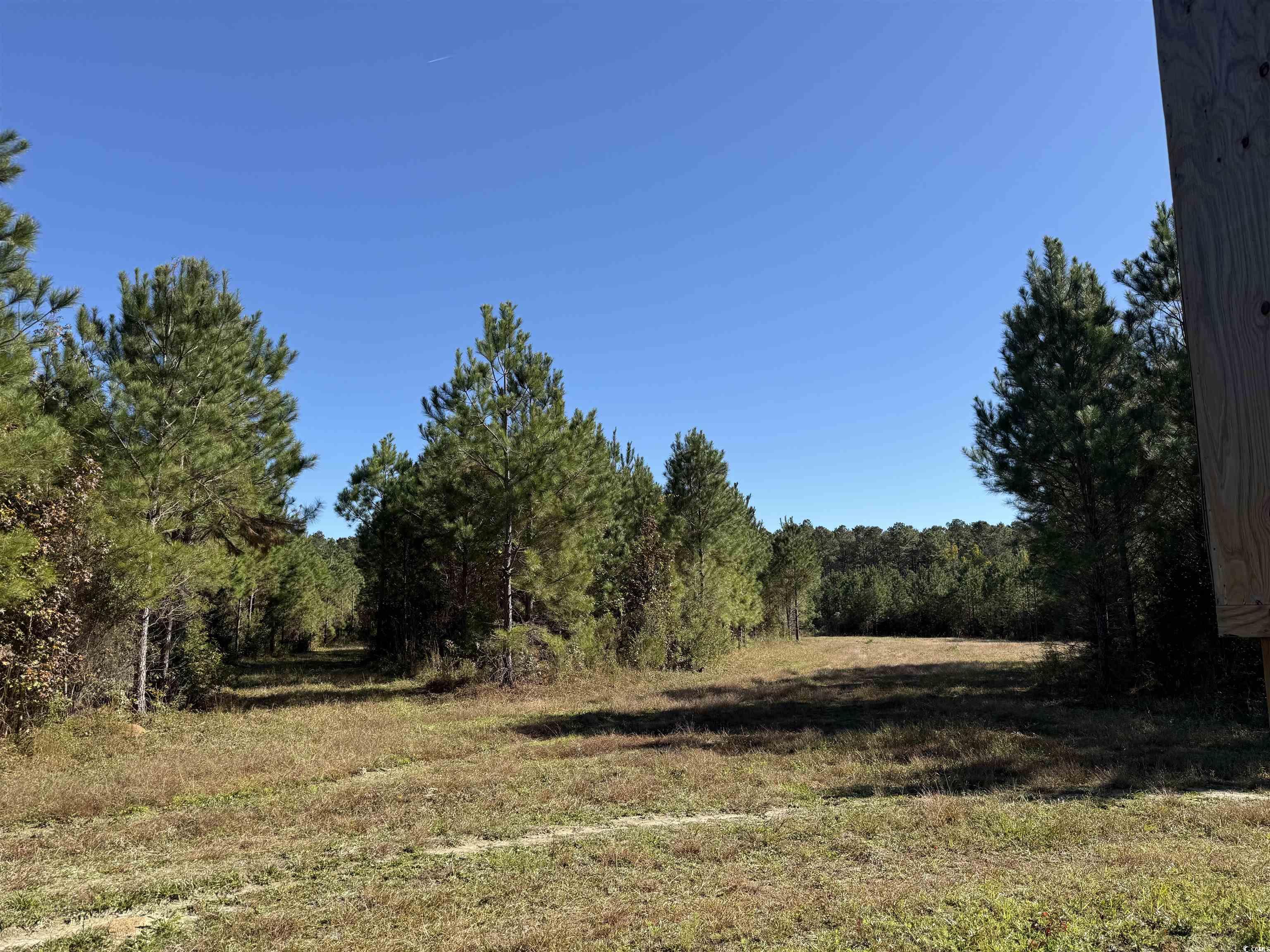 57.40-acres-tbd Cade Road Lake City, SC 29560 - Photo 5 of 22