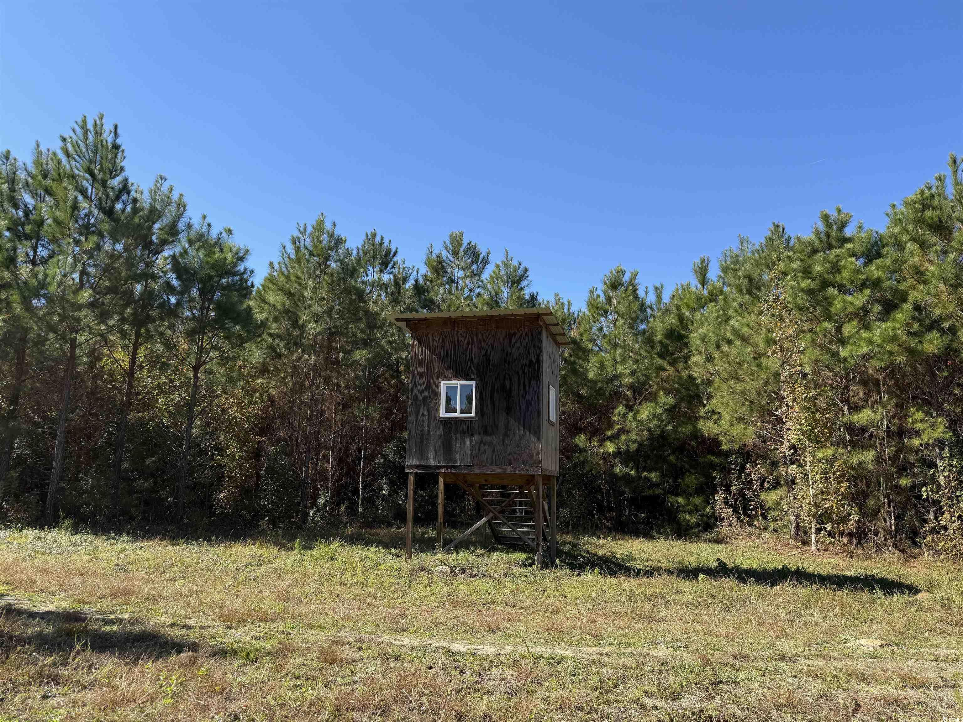 57.40-acres-tbd Cade Road Lake City, SC 29560 - Photo 7 of 22