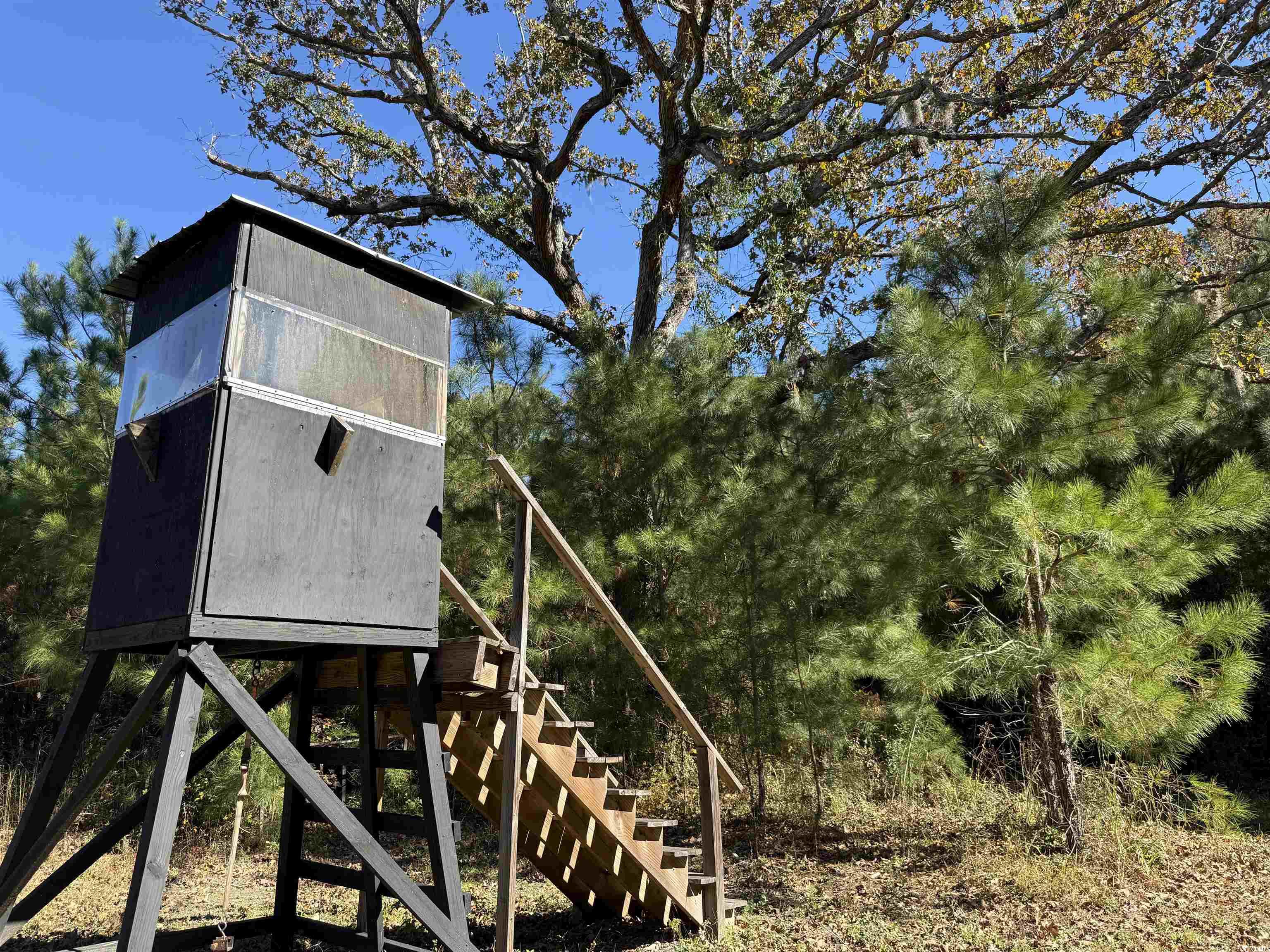 57.40-acres-tbd Cade Road Lake City, SC 29560 - Photo 8 of 22