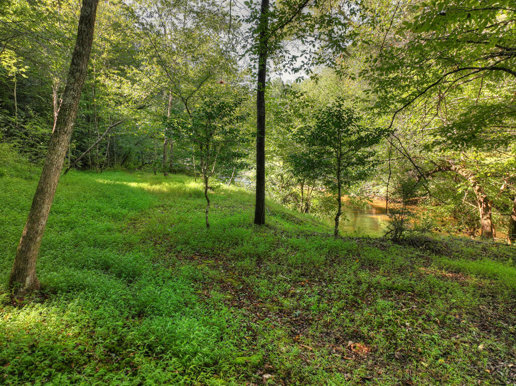 93 Trail's End Road Epworth, GA 30541 - Photo 77 of 81 Gallery Image 77