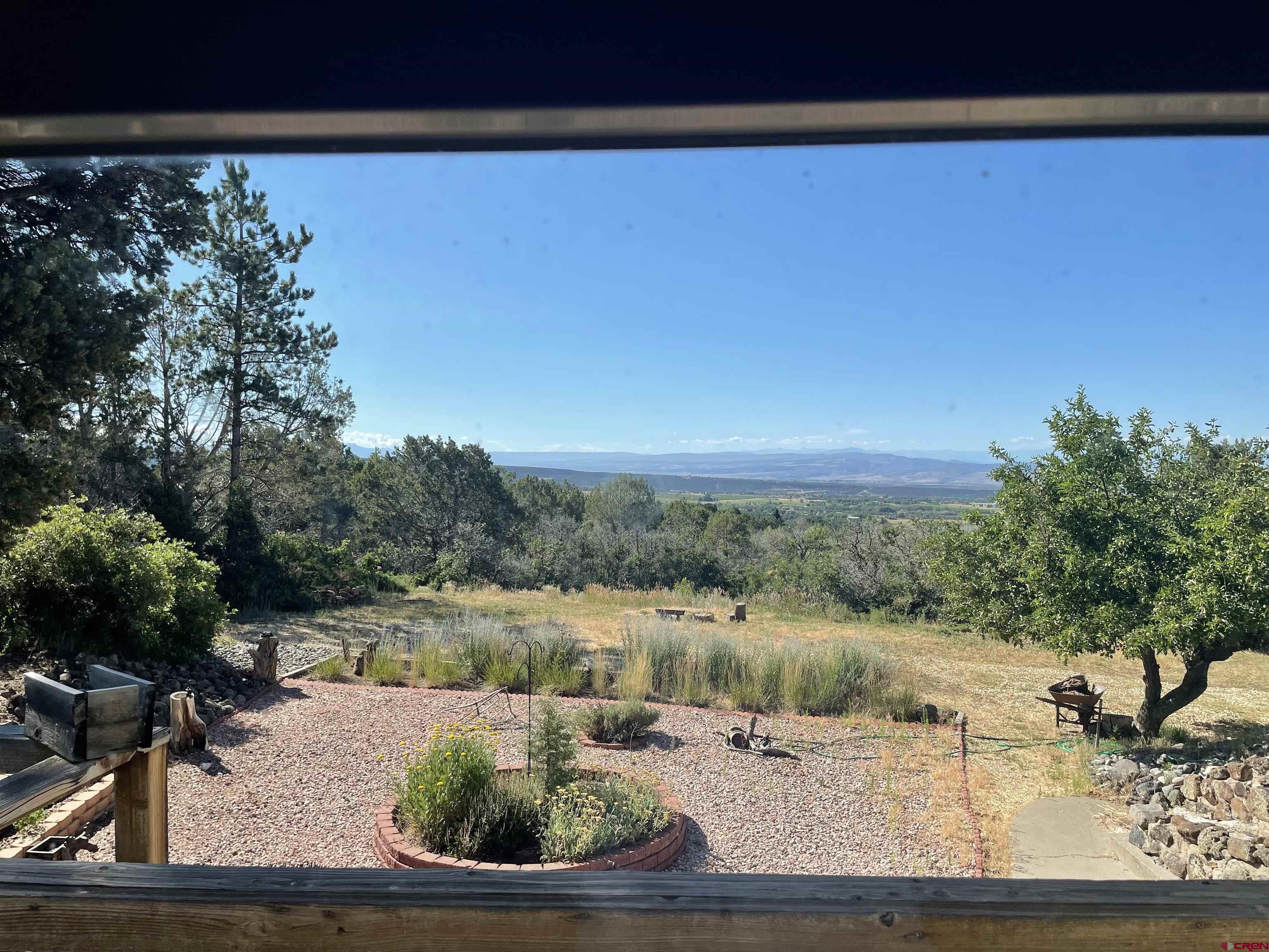 21439 2300th Road Cedaredge, CO 81413 - Photo 6 of 20 a view of a yard with an outdoor space