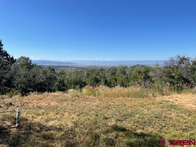 21439 2300th Road Cedaredge, CO 81413 - Photo 8 of 20 a view of lake view and mountain