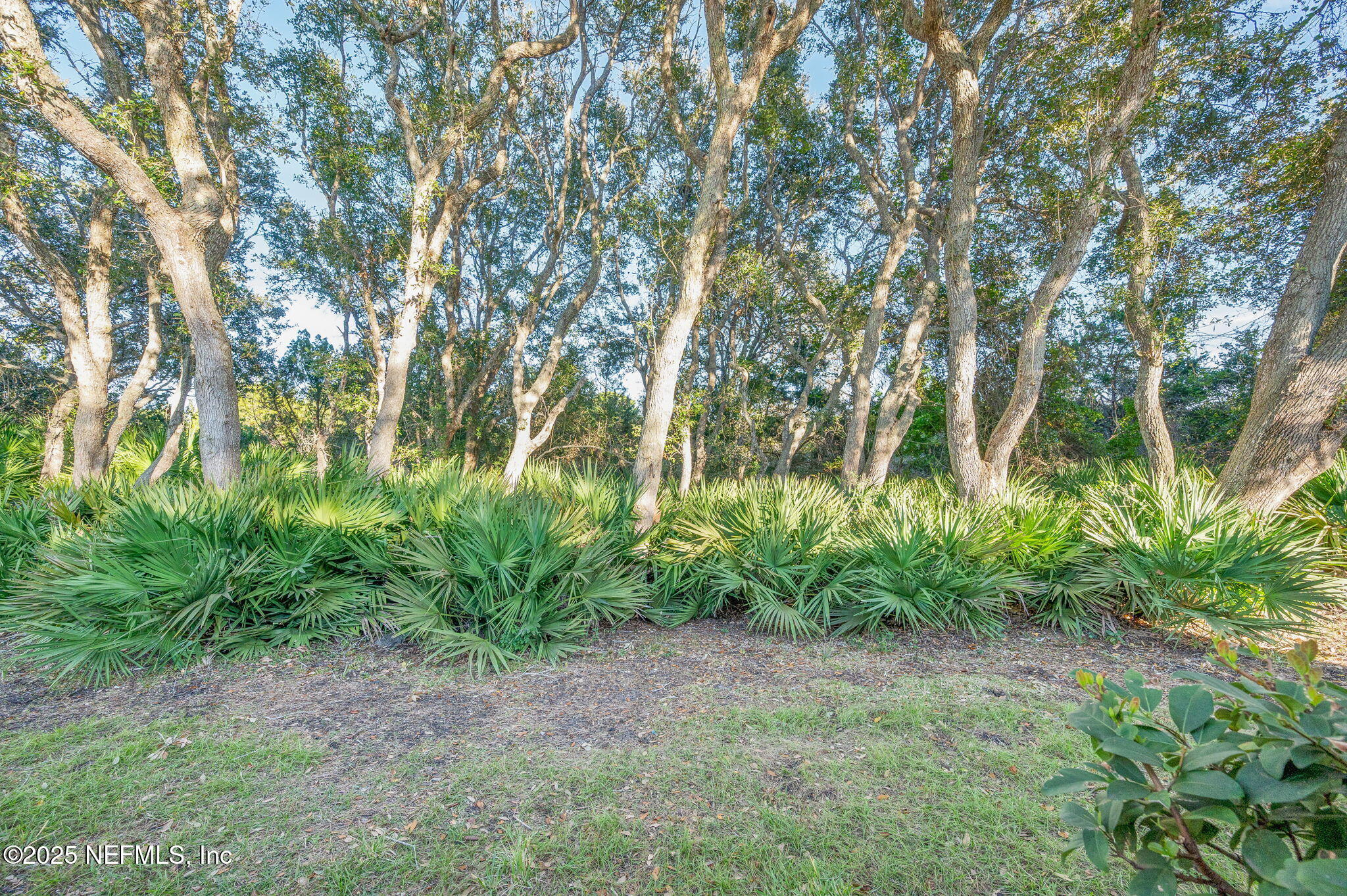 284 San Nicolas Way St. Augustine, FL 32080 - Photo 40 of 47 40-web-or-mls-284 San Nicholas-40