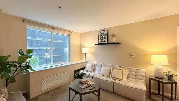 a living room with furniture and a potted plant