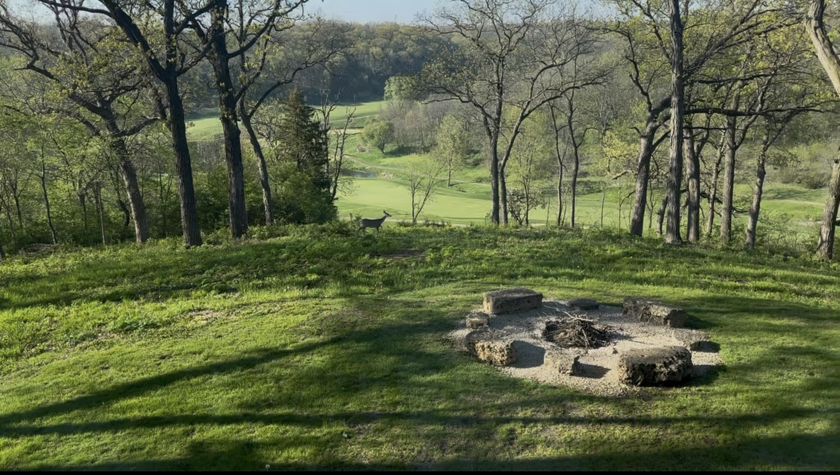19 Cedar Rim Trail Galena, IL 61036 - Photo 68 of 72 Gallery Image 68