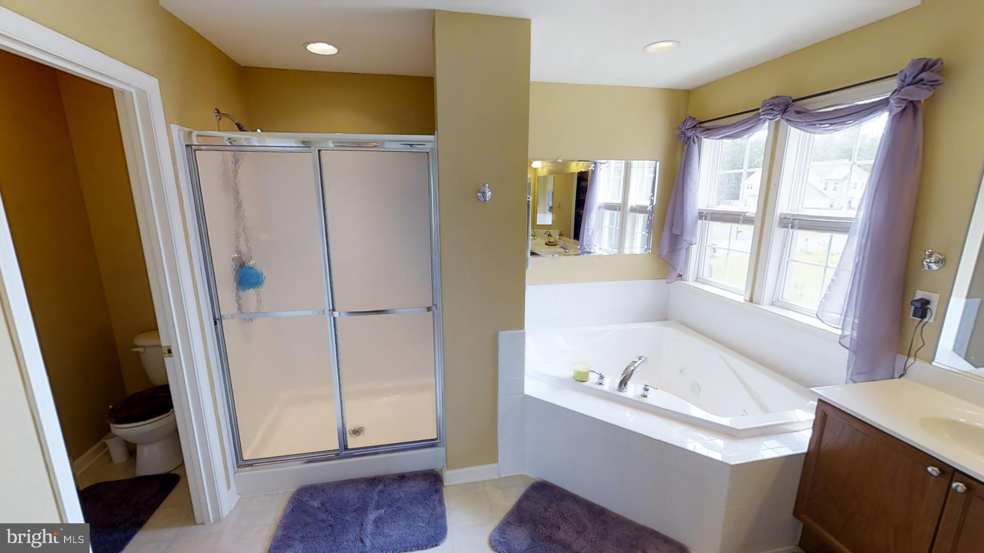 283 Rippling Waters Way Falling Waters, WV 25419 - Photo 28 of 30 a bathroom with a tub sink and a mirror