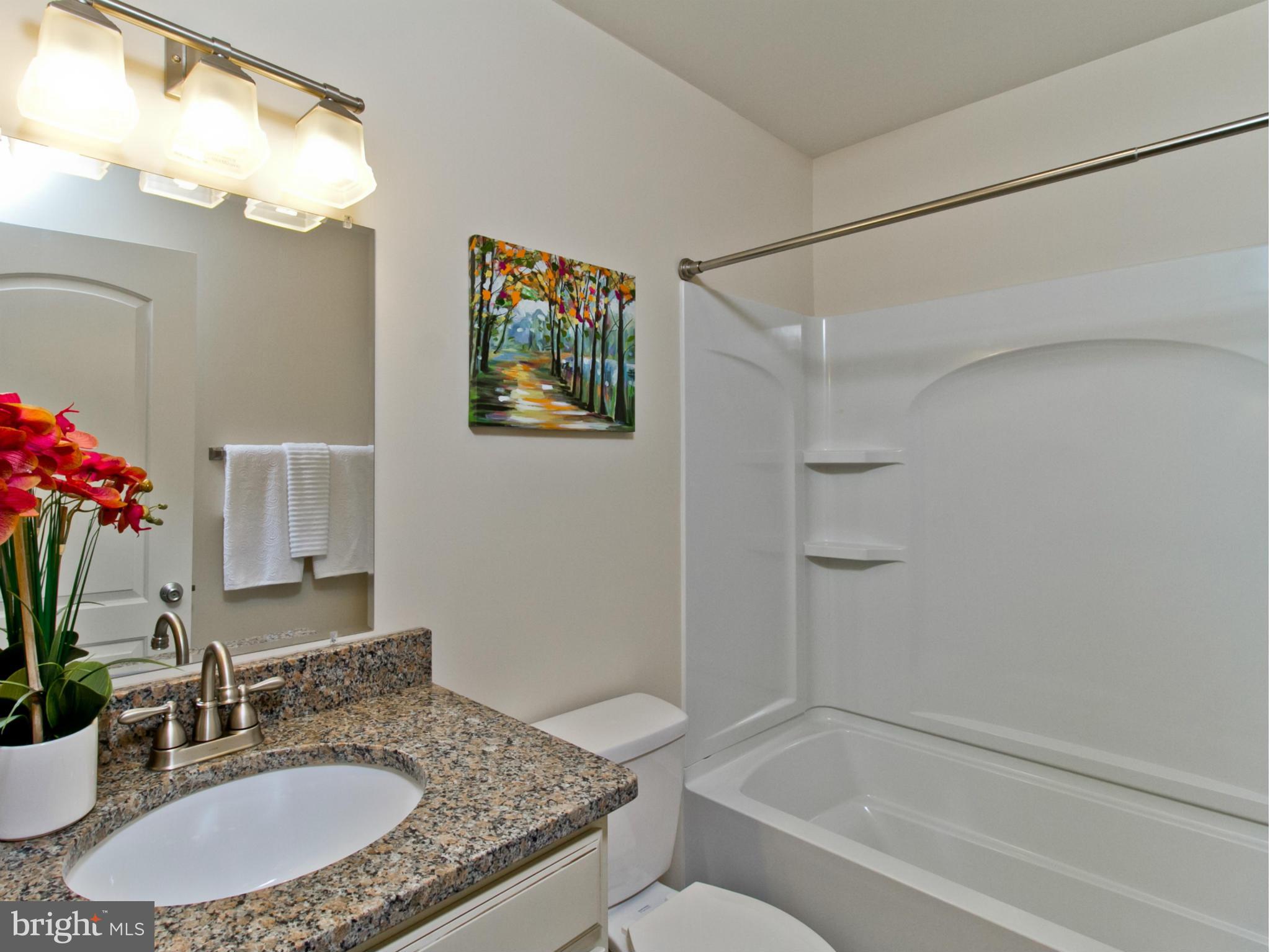 6243 Appletown Road Boonsboro, MD 21713 - Photo 14 of 30 Hall Bath