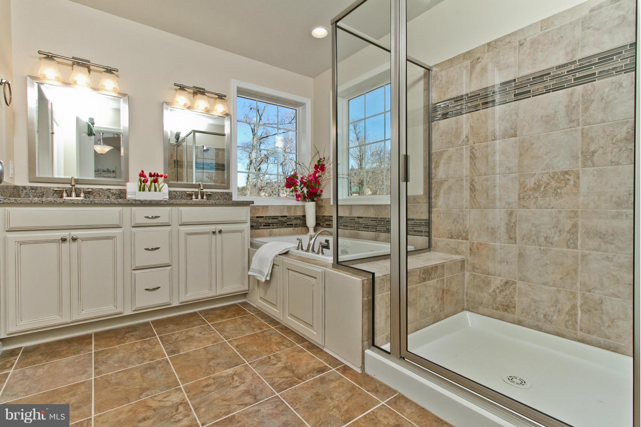 6243 Appletown Road Boonsboro, MD 21713 - Photo 17 of 30 Luxury Master Bathroom