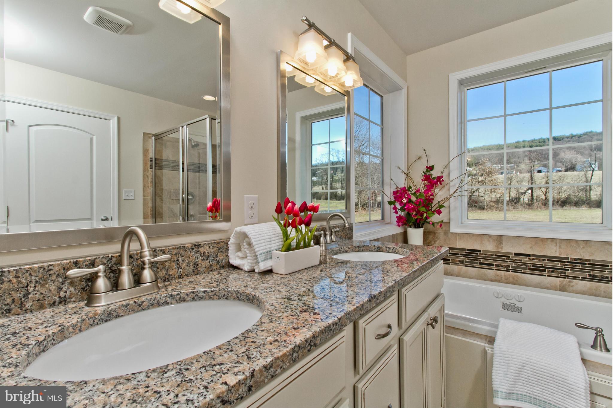 6243 Appletown Road Boonsboro, MD 21713 - Photo 18 of 30 Luxury Master Bathroom