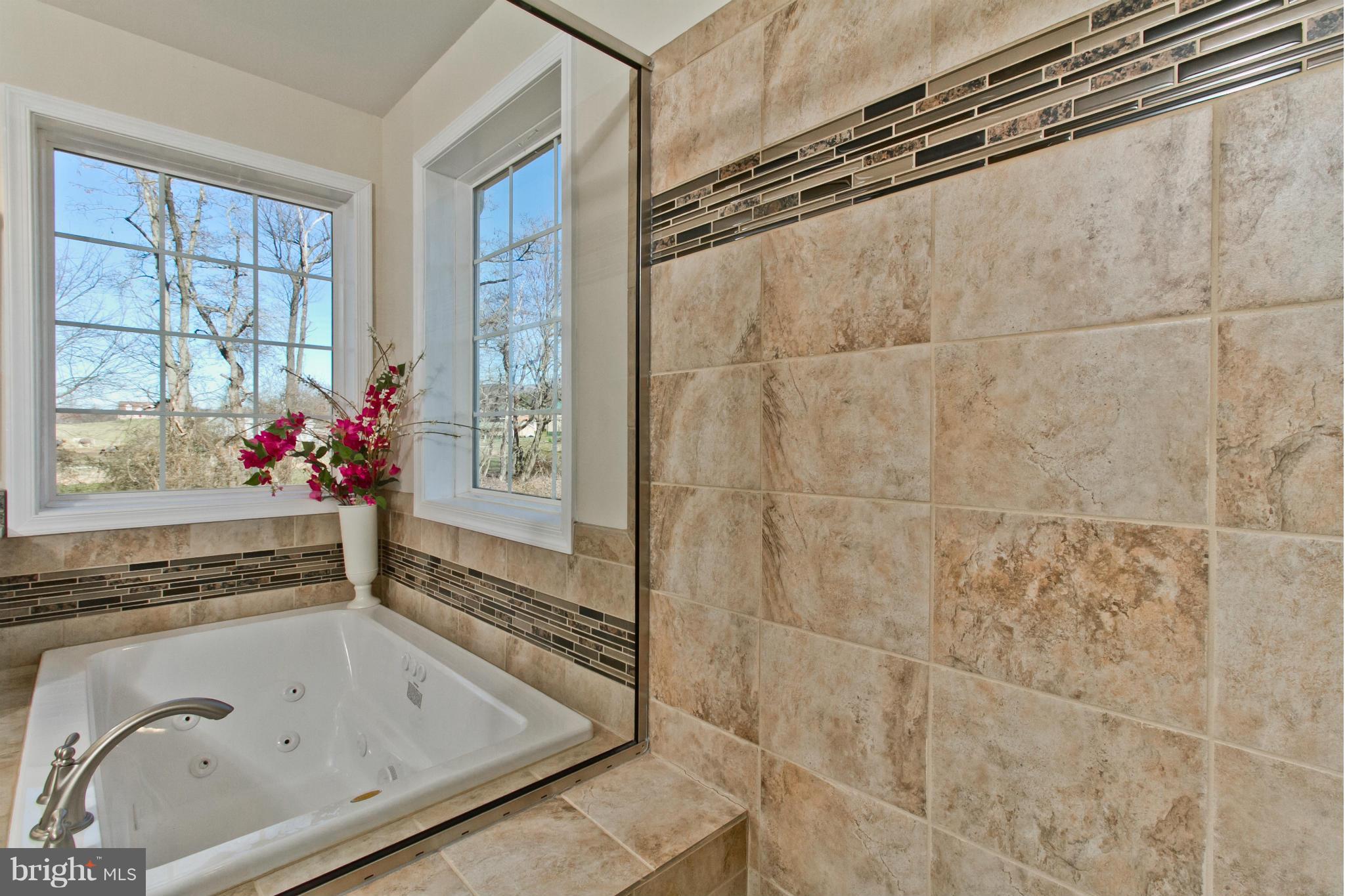6243 Appletown Road Boonsboro, MD 21713 - Photo 19 of 30 Luxury Master Bathroom