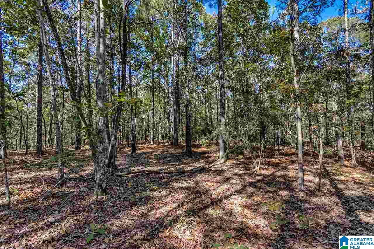 384 Wolf Pond Road, Unit 1 Talladega, AL 35160 - Photo 19 of 26