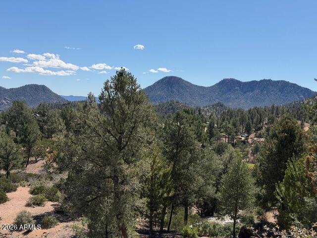 a view of a city with mountain