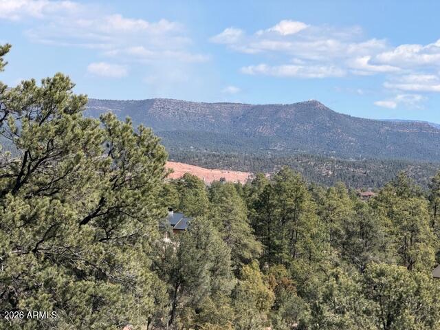 704 South Prestwick, Unit 140 Payson, AZ 85541 - Photo 11 of 59 a view of a bunch of trees in a field