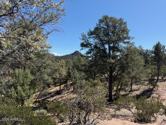 704 South Prestwick, Unit 140 Payson, AZ 85541 - Photo 12 of 59 a view of a tree