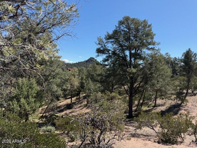704 South Prestwick, Unit 140 Payson, AZ 85541 - Photo 13 of 59 a view of a tree in a yard