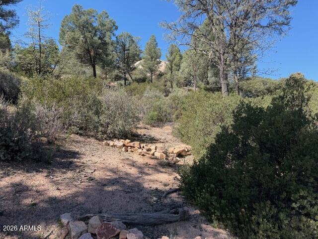 704 South Prestwick, Unit 140 Payson, AZ 85541 - Photo 14 of 59 a view of a covered with trees in the background