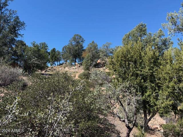 704 South Prestwick, Unit 140 Payson, AZ 85541 - Photo 15 of 59 a view of a tree in a field with lots of bushes