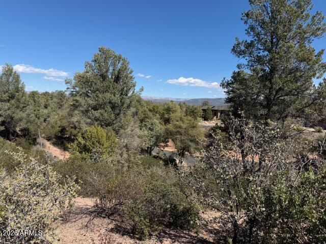 704 South Prestwick, Unit 140 Payson, AZ 85541 - Photo 16 of 59 a view of a tree in a field