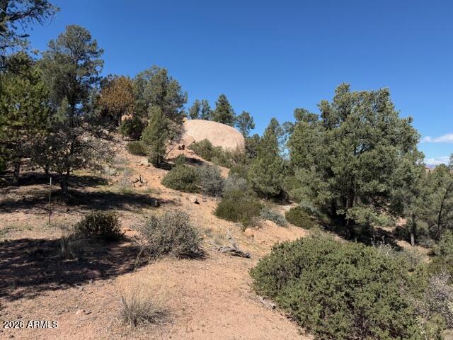 704 South Prestwick, Unit 140 Payson, AZ 85541 - Photo 17 of 59 a view of a yard with a tree
