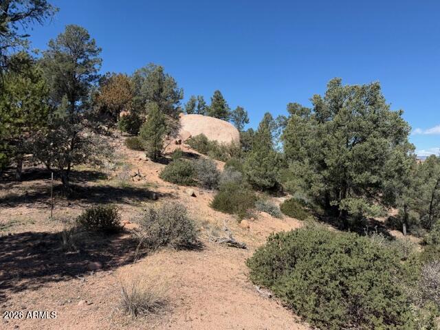 704 South Prestwick, Unit 140 Payson, AZ 85541 - Photo 18 of 59 a view of a road with a tree in the background