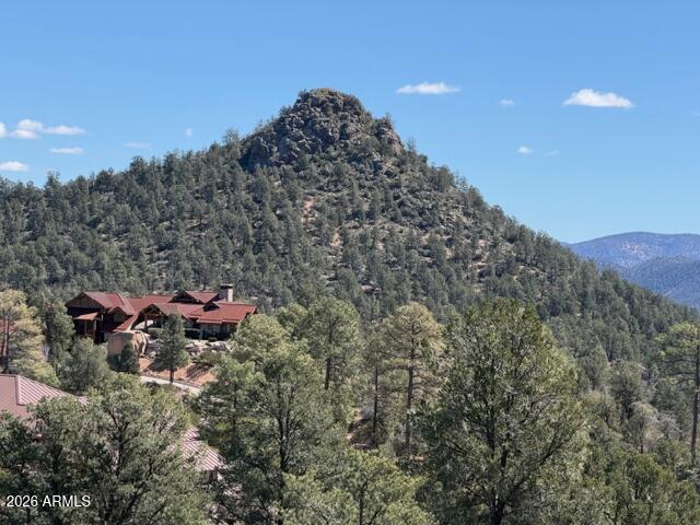 704 South Prestwick, Unit 140 Payson, AZ 85541 - Photo 2 of 59 IMG_0054