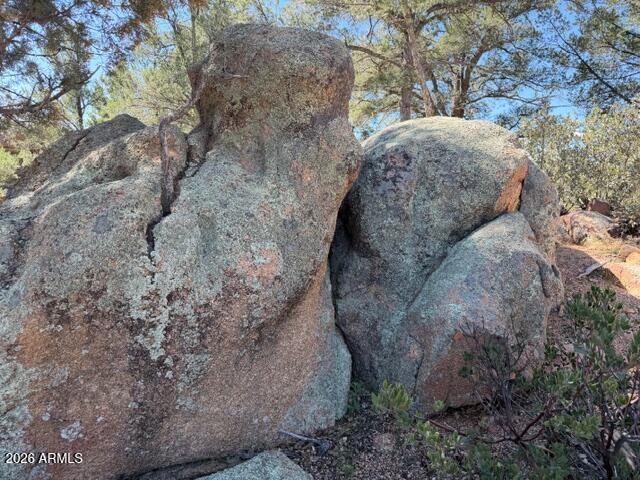 704 South Prestwick, Unit 140 Payson, AZ 85541 - Photo 22 of 59 a view of a dry yard with large trees