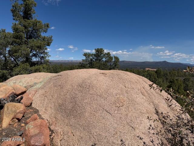 704 South Prestwick, Unit 140 Payson, AZ 85541 - Photo 24 of 59 a view of a backyard of the house