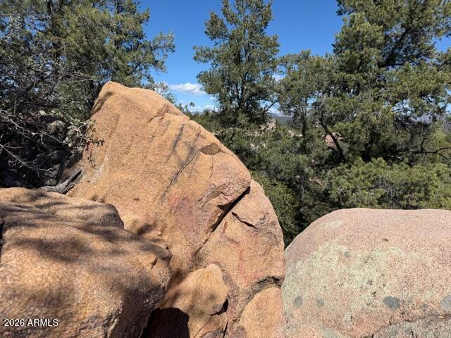 704 South Prestwick, Unit 140 Payson, AZ 85541 - Photo 26 of 59 a view of a dry yard with trees