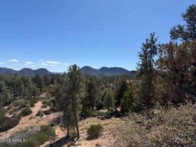 704 South Prestwick, Unit 140 Payson, AZ 85541 - Photo 30 of 59 a view of a forest with a tree in the background