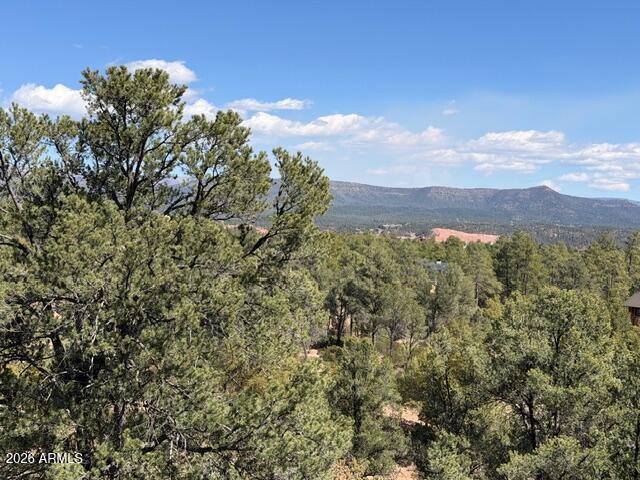 704 South Prestwick, Unit 140 Payson, AZ 85541 - Photo 31 of 59 a view of a city with lush green forest