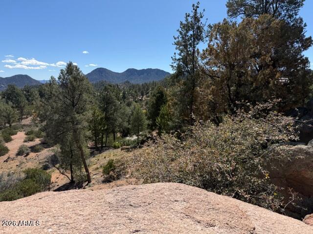 704 South Prestwick, Unit 140 Payson, AZ 85541 - Photo 36 of 59 a view of a backyard of a house