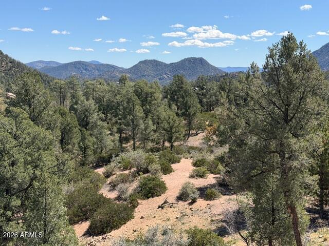 704 South Prestwick, Unit 140 Payson, AZ 85541 - Photo 39 of 59 a view of a town with mountains in the background