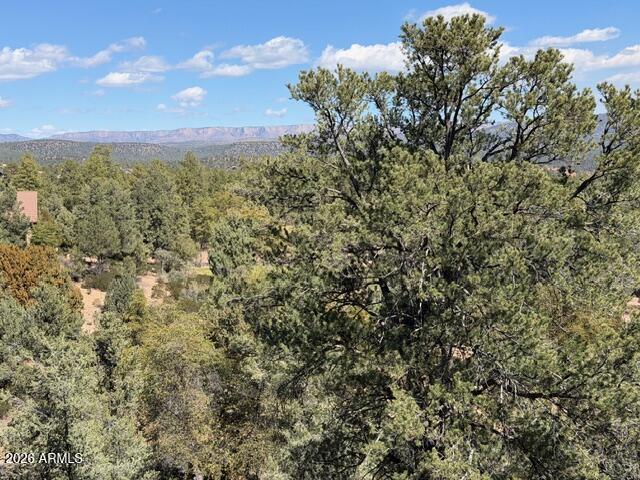 704 South Prestwick, Unit 140 Payson, AZ 85541 - Photo 4 of 59 a view of a city with lush green forest
