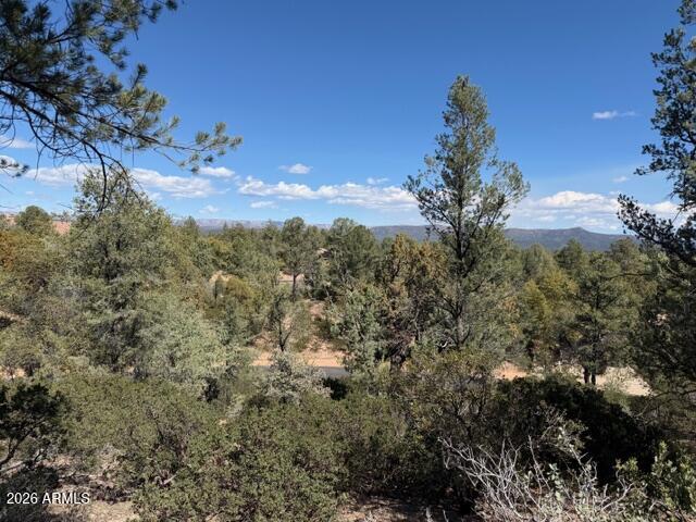 704 South Prestwick, Unit 140 Payson, AZ 85541 - Photo 42 of 59 a view of a city with lush green forest