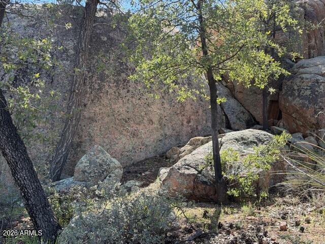 704 South Prestwick, Unit 140 Payson, AZ 85541 - Photo 44 of 59 a view of a garden with large trees