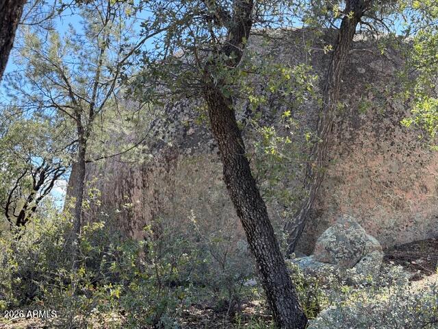 704 South Prestwick, Unit 140 Payson, AZ 85541 - Photo 45 of 59 a view of a tree in a yard
