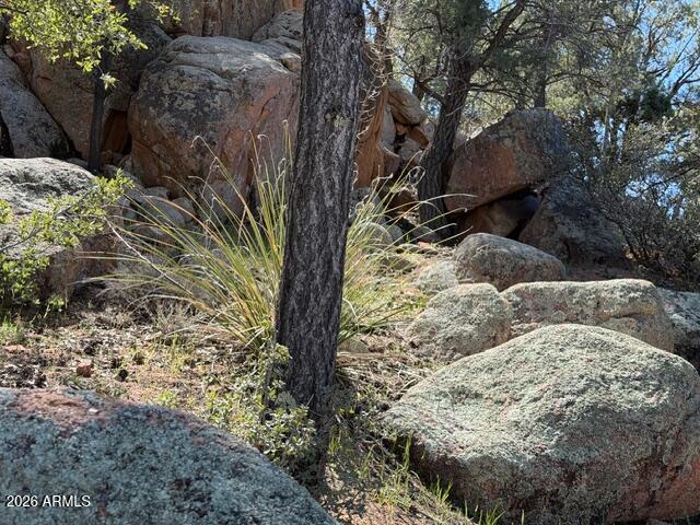 704 South Prestwick, Unit 140 Payson, AZ 85541 - Photo 46 of 59 IMG_0093