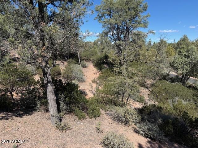 704 South Prestwick, Unit 140 Payson, AZ 85541 - Photo 50 of 59 IMG_0017