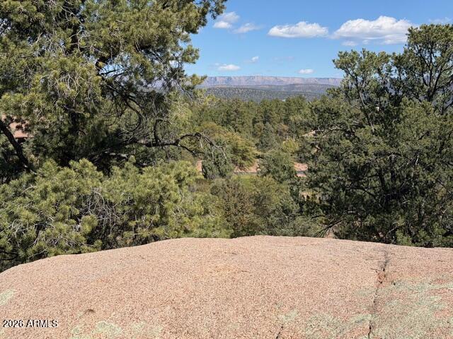 704 South Prestwick, Unit 140 Payson, AZ 85541 - Photo 5 of 59 IMG_0045