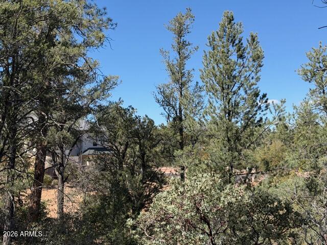 704 South Prestwick, Unit 140 Payson, AZ 85541 - Photo 51 of 59 a view of a tree in a forest