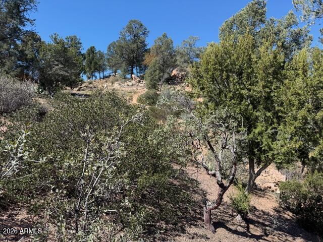 704 South Prestwick, Unit 140 Payson, AZ 85541 - Photo 52 of 59 a view of a forest with a tree