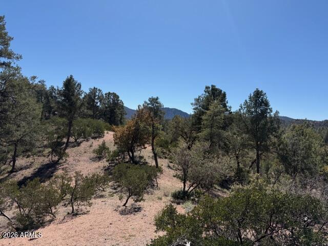 704 South Prestwick, Unit 140 Payson, AZ 85541 - Photo 54 of 59 a view of a forest with a tree in the background