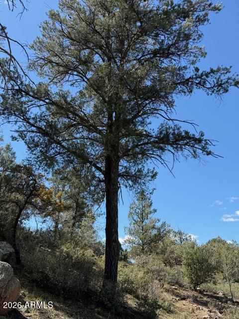 704 South Prestwick, Unit 140 Payson, AZ 85541 - Photo 55 of 59 a view of a tree in a yard